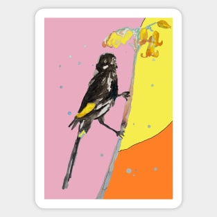 Australian Honeyeater Bird Painting - New Holland on Yellow and Pink Sticker